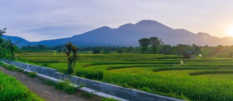 What To Pack For Long Distance Drives